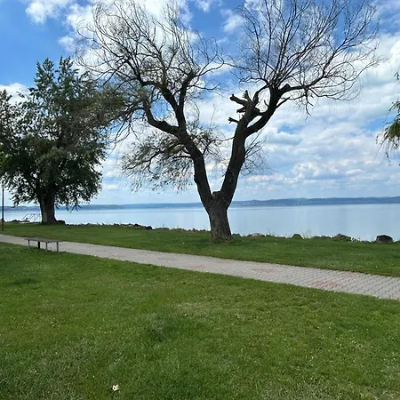 Apartman Mango613